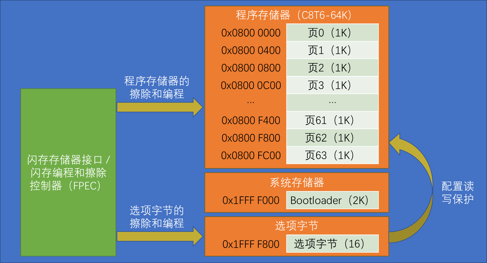 FLASH基本结构